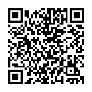 焚天老祖这无数年到底经历了多少战斗才会留下如此恐怖的创伤二维码生成