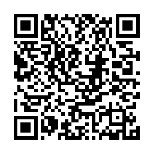 焦场长和鲁场长一前一后的走进了遗传工程实验室的后院二维码生成