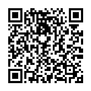 焦局长和刘政委已经就这个问题向关书记和赵部长做过汇报二维码生成