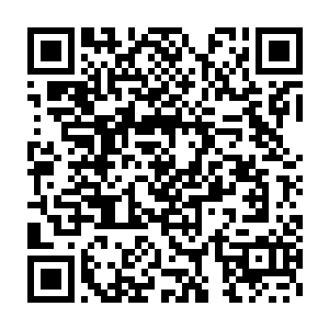 然后不是在贝海腿上蹭着身体就是张开了小嘴咬着贝海鞋上的鞋带二维码生成