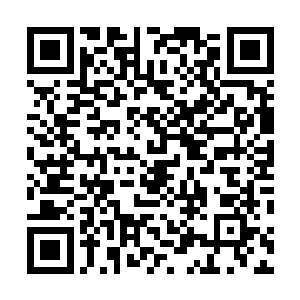 然后从虚空当中陡然出现了一头庞大无比的白色巨象幻象二维码生成