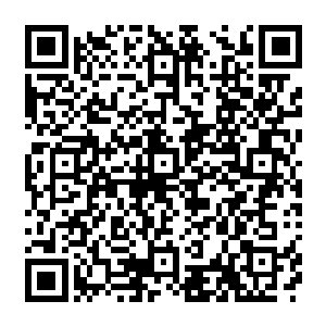 然后从那粉红的连衣裙口袋里掏出了一把五颜六色好像糖豆的东西伸到了两只全身粉红二维码生成