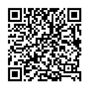 然后他惊愕的扭头看到高扬从他背下边拿出了一枚手榴弹二维码生成