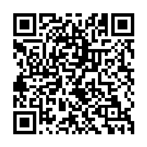 然后他用一番甜言蜜语给卢卡斯描绘了一个非常光辉灿烂的未来二维码生成