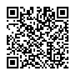 然后他自己和医生两人开始挨个寻找在潜水搜寻的弟兄们二维码生成