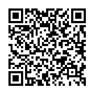 然后低头继续在网上翻阅起中医乃至当今整个医学的发展现状二维码生成