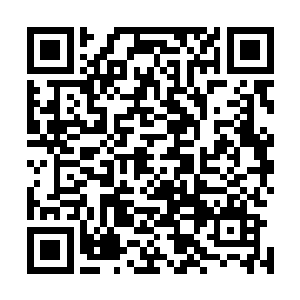 然后凝聚一团主宰威能化作一只无形的手掌对着他狠狠拍去二维码生成