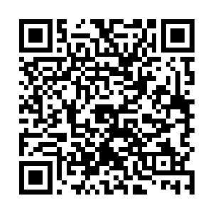 然后卫生局内开会审核方案……这么一大堆的事情下来二维码生成