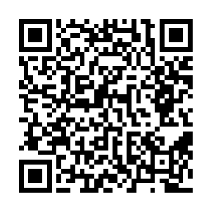 然后去拿了一把门诊杨医生专门修剪里面一盆植物的剪刀二维码生成