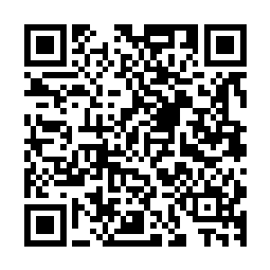 然后又将夹杂着精纯的青木之气的融合灵气送回了自己的体内二维码生成