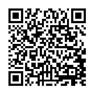 然后又把小太妹放到了客厅的架子上把果实放到了架上的小盆中二维码生成