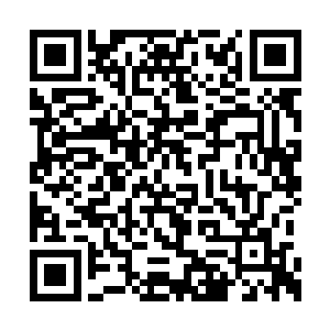 然后在无定神风扇的帮助下前往镇妖塔的下一层二维码生成