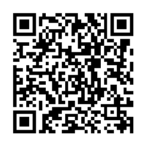 然后大家来评判我评论的准不准……符合不符合……二维码生成