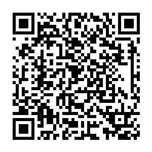 然后对着李音菲介绍着他们迈尔发这项发明可以给虚拟世界带来什么二维码生成