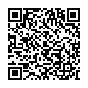 然后将已经失去了意识的林晓夕从车内拉了出去二维码生成