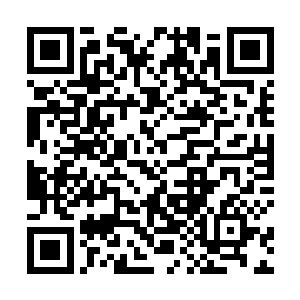 然后就是那一次在海边为叶倾城偷衣服遇到的女子林晨二维码生成