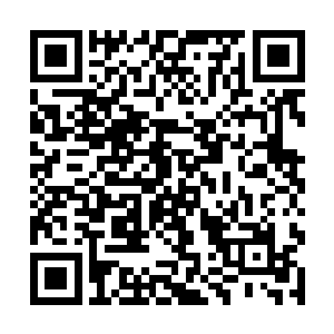 然后巨大的尾巴狠狠的朝着黑衣护法的身上抽了过去二维码生成