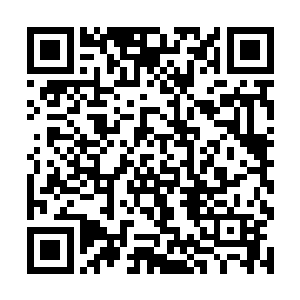 然后张伟在女孩惊讶的眼神中登上了这个梦幻的舞台二维码生成