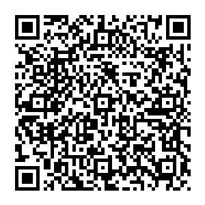 然后当她这几乎没什么威力的攻击遇到了一个本身性能就不错还可以自我维修伤势的冰雪天使之后……二维码生成