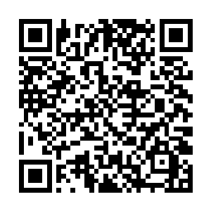 然后徐凤年的右拳和拓拔菩萨的左拳同时撞击在一起二维码生成