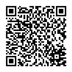 然后心不甘情不愿的拉着墨斗线就一边用力插出旁边的树杆子愤恨的往地方一插二维码生成