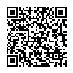然后我做主再将其中的两件送给你和林兄一人一件二维码生成