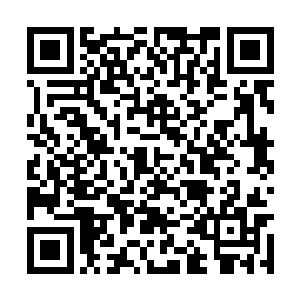 然后手里尖锐的酒瓶碎片再次狠狠地对着疯狗刺去二维码生成