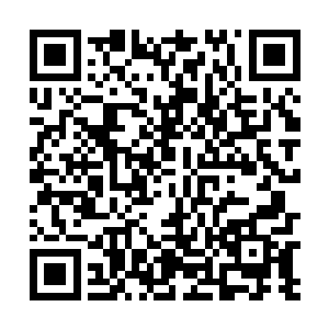 然后把早就已经准备好的烟花和鞭炮放到了指定的地点二维码生成