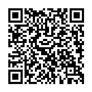 然后拉着王婉柔指着认真将面具跟扫描一样在长生身上扫的魏燕二维码生成