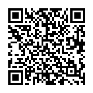 然后放出一把飞剑把流墨墨放到飞剑上站住上下打量起流墨墨二维码生成