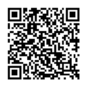 然后杀掉扎伊德莫名其妙变成了系统的目标任务二维码生成