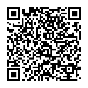 然后用自己的勺子挑起了一点因为放了蔬菜而显得绿呼呼的糊状物二维码生成