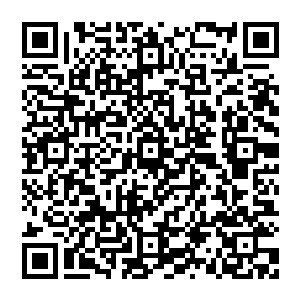 然后由那些圣级混沌兽和域外天魔各自带领着无数的混沌兽和域外天魔再次向着太虚宗的护宗大阵发出了攻击二维码生成