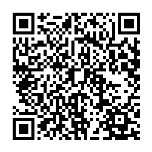 然后突然想起什么急急忙忙从怀里哆哆嗦嗦的掏出一张白色的符纸二维码生成