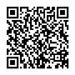 然后观众们就看到了最为荒谬却又带着无穷喜感的一幕出现了二维码生成