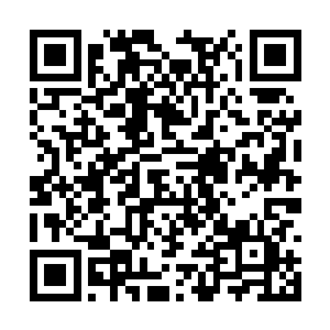 然后赚取足够的财富声望和地位就能完美完成任务二维码生成