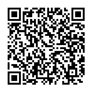 然后里面就一段段惨不忍睹的沙罗曼蛇战队被各种吊打屠戮的情况二维码生成