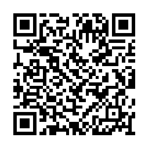 然后镜头落在了他藏在维修单后面的右手上……二维码生成