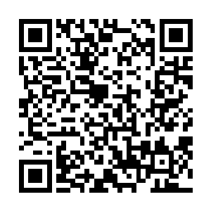 然后随着秦方的精血一同消失在那一只卵里面了……但是二维码生成