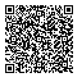 然而 就在他动的那一刻 巨兽之上的大巫圣子忽然发出一生大吼 他猛然间脱离巨兽的身体 呼啸着向风清扬的方向飞去二维码生成