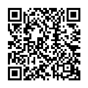然而下一刻他便是看到这族内男子对着他露出了一个诡异笑容二维码生成