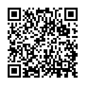 然而他们的呆滞和迟疑仅仅持续了一个呼吸不到的时间二维码生成