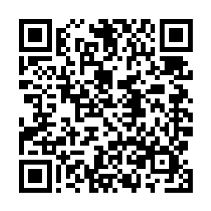 然而同伴此刻的惨状却是让得他只能是强忍着心中的怒火二维码生成