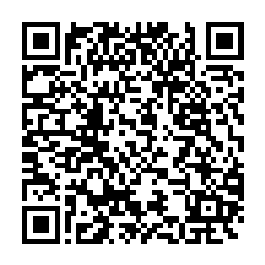 然而在进地铁站从包里拿交通卡时才发现家里的那一串钥匙不见了二维码生成