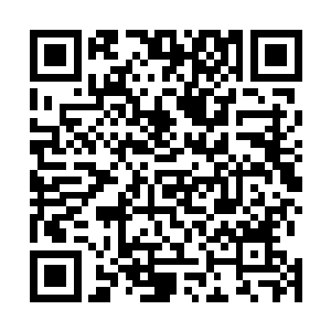 然而她却睁着一双形状优美的凤眸一瞬不瞬的凝睇着自己二维码生成