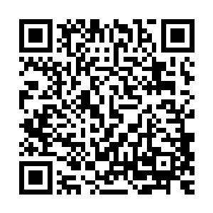 然而此刻老者整个人木讷的就如同一个人偶一样没有任何的生机二维码生成