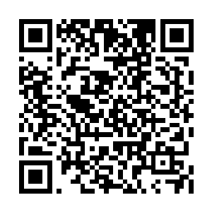 然而此时已经没有人去在意为什么换了个人叫价二维码生成