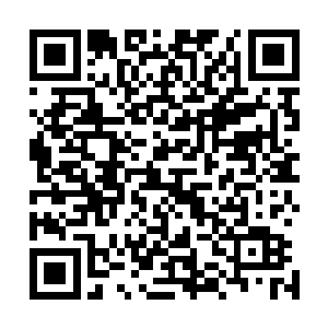 然而现在的情况已经由不得豆毛毛自己去想什么就是什么了二维码生成