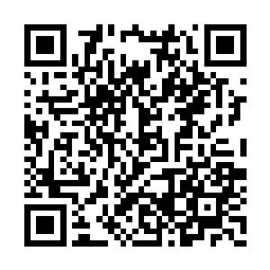 然而看到一个和闻人修长得一模一样的银发男子二维码生成