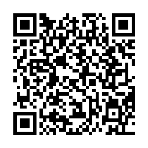然而看着原本还不停攻击的人形植物们随着他们的汇合二维码生成